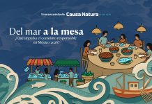 Del mar a la mesa: ¿Qué impulsa el consumo responsable 2026?