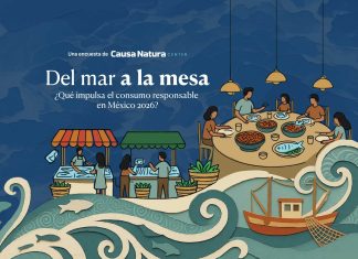 Del mar a la mesa: ¿Qué impulsa el consumo responsable 2026?